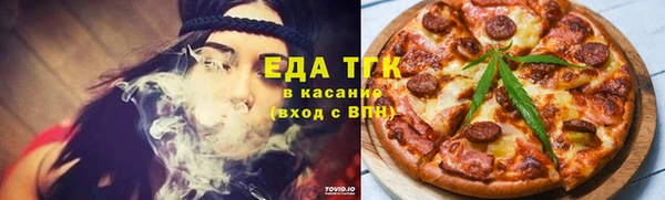 индика Новокубанск