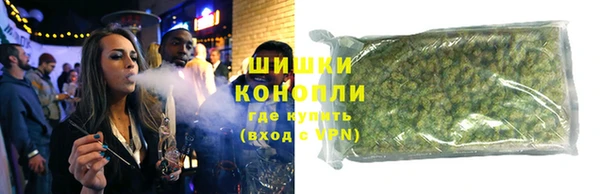 индика Новокубанск