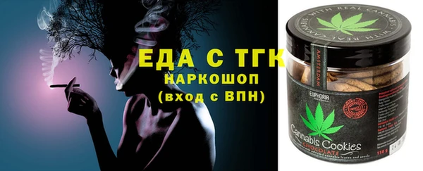 индика Новокубанск