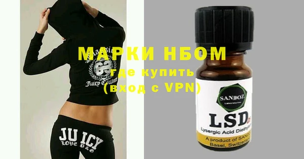 индика Новокубанск