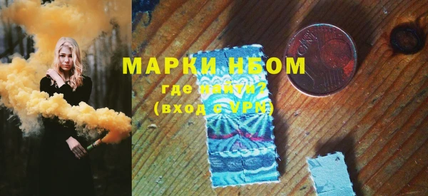 индика Новокубанск