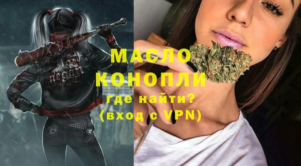 индика Новокубанск