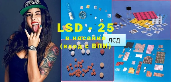 индика Новокубанск